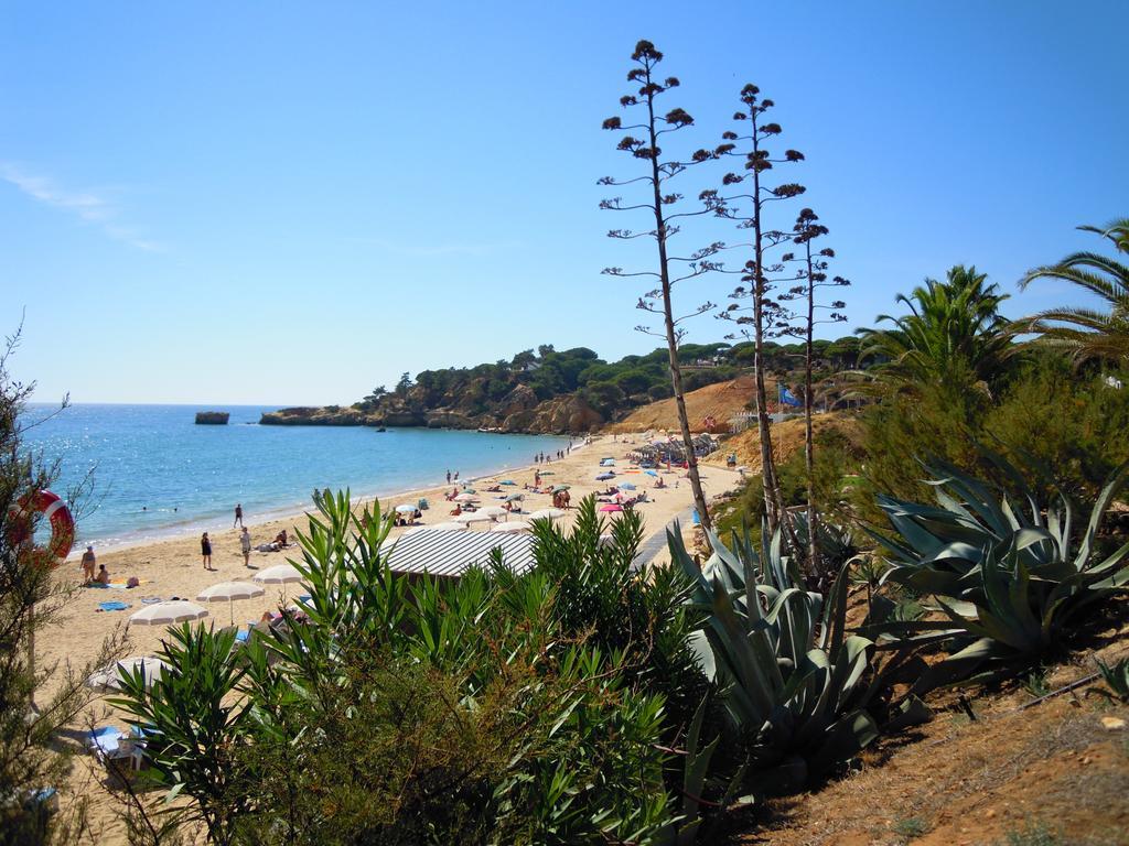 Jardins Da Balaia Hotel Albufeira Eksteriør billede